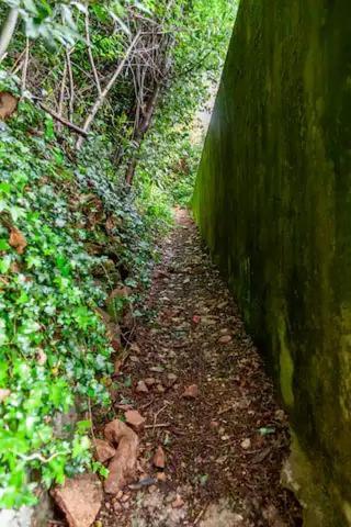 Rifugio Sul Lago Di Lugano A Порто-Черезіо Екстер'єр фото